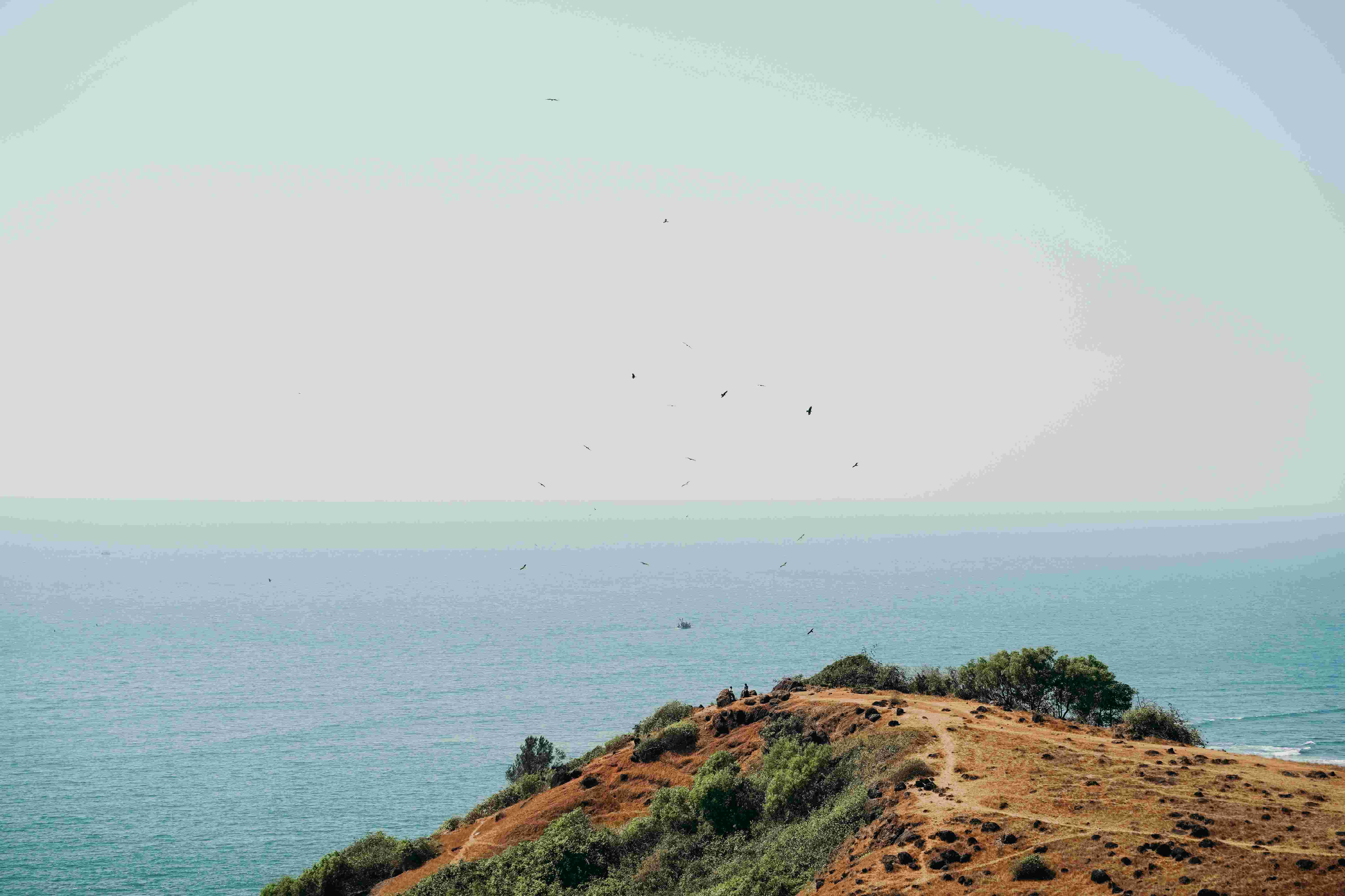 Goa